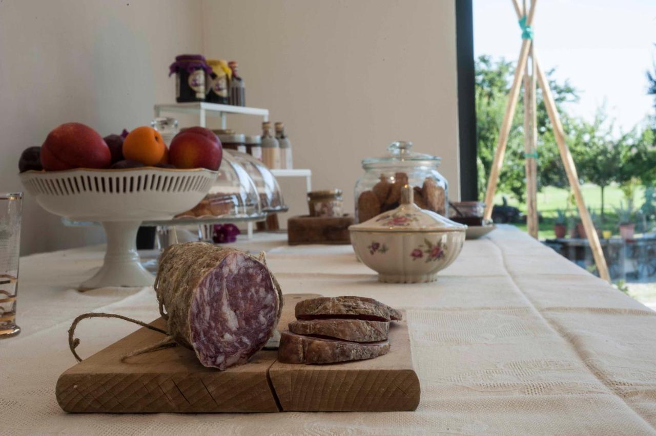 Le Ferrerie Agriturismo Fattoria Marchesini Praticello di Gattatico Eksteriør bilde